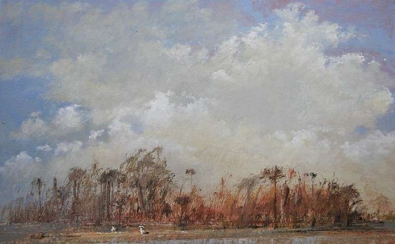 La mangrove