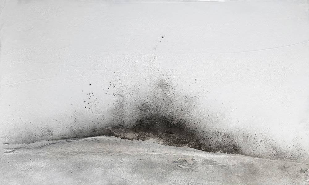 Patrick S. NAGGAR