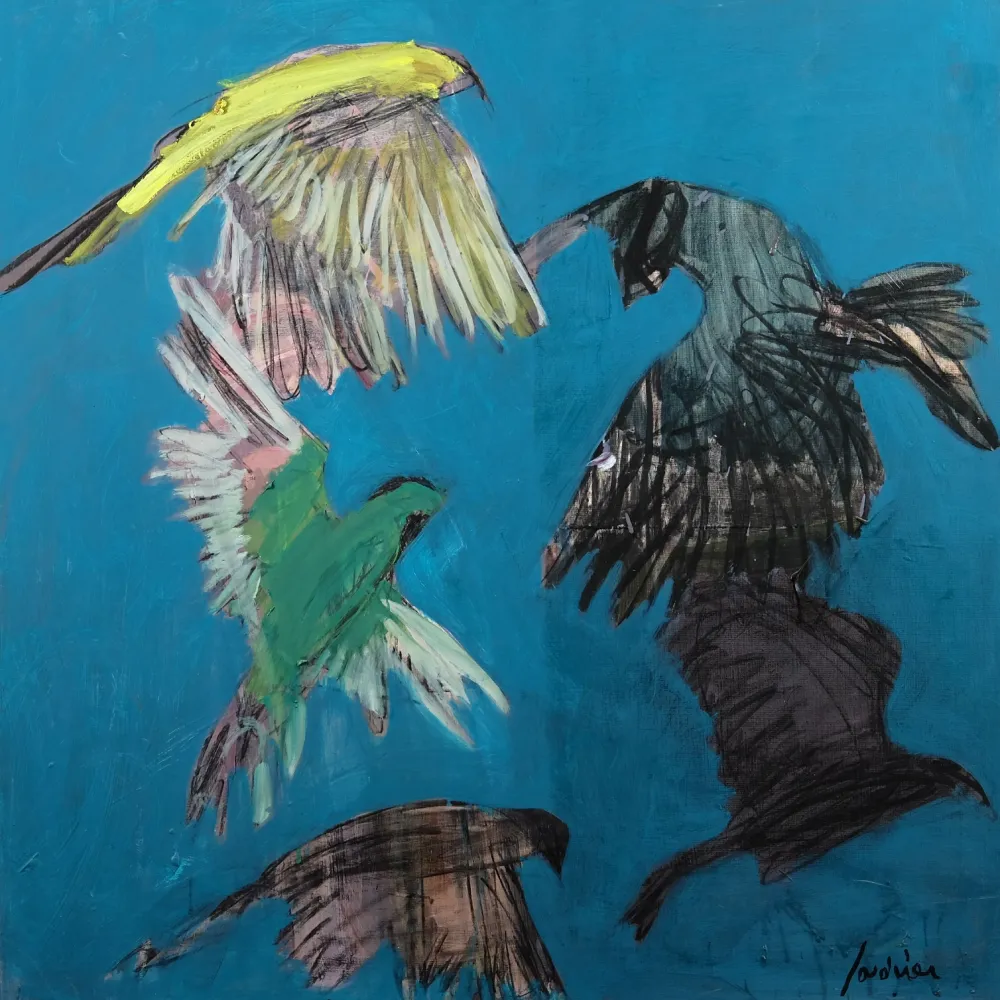 Oiseaux 0220